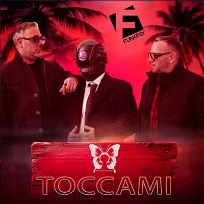 Synthosys - Toccami